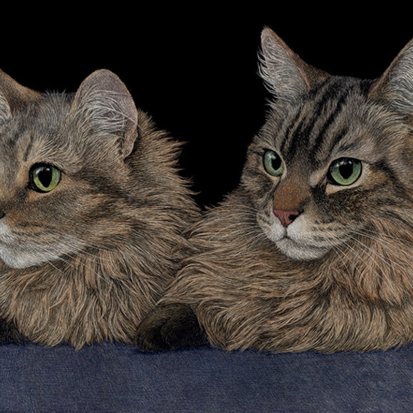 Cassie & Bella