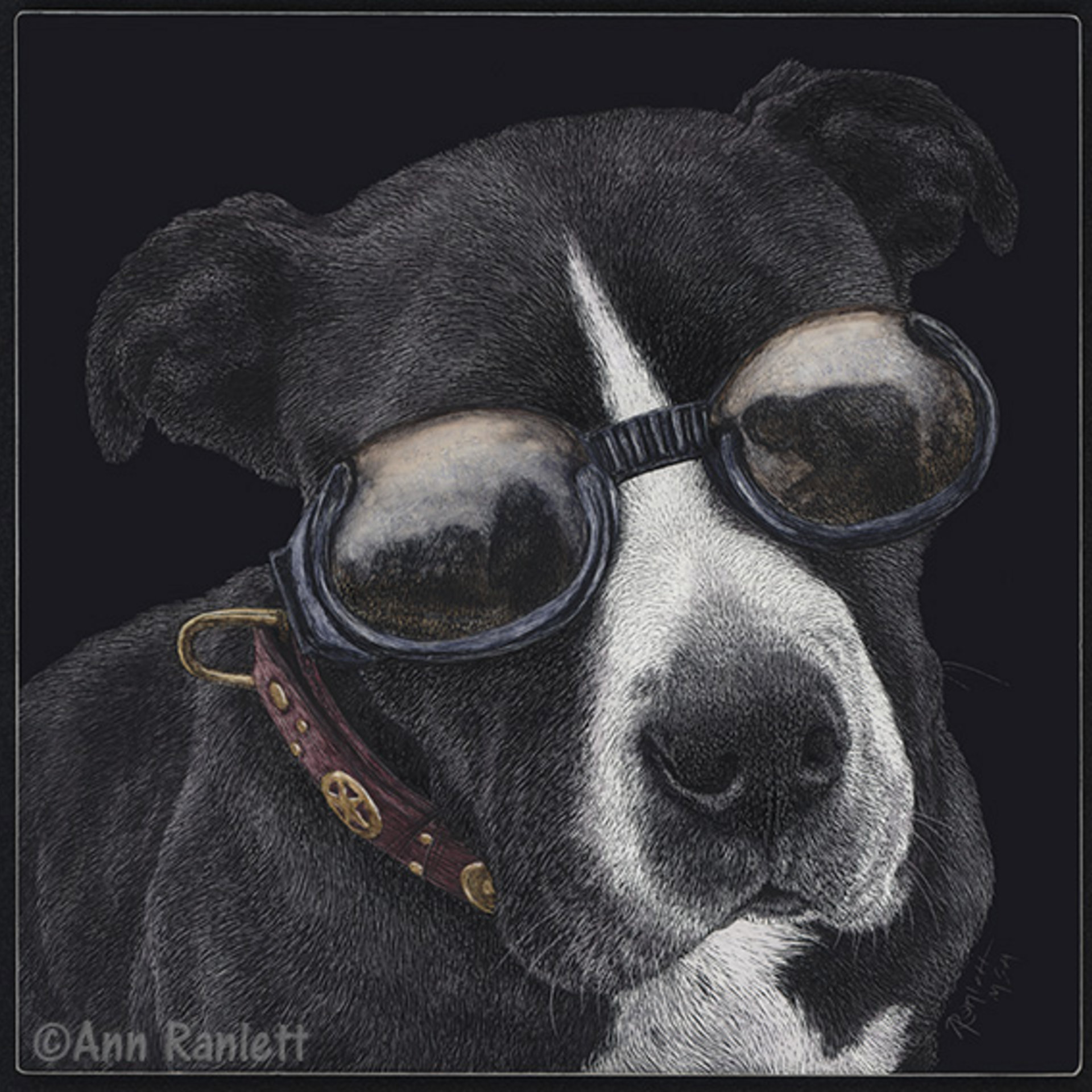 "Style" - Bully Mix Dog, Original Scratchboard Drawing, Framed