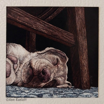 Sleeping Dog, Yellow Lab - 3" Square Magnet
