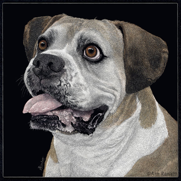 Ernie