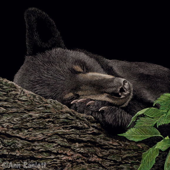 Nap Time