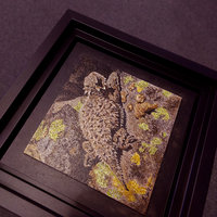 Horned Lizard - Original Mixed Media Drawing, Framed
