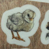 Sticker Sheet Version 1, 4" x 6"