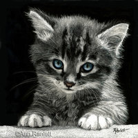 "Bright Future" Tabby Kitten - Print on Metal