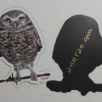 Burrowing Owl - 3" Magnet
