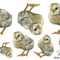 "Tough Chick", Sticker Sheet