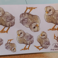 "Tough Chick", Sticker Sheet