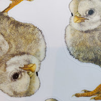 "Tough Chick", Sticker Sheet