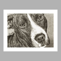 "Devotion" - Pit Bull Dog Note Cards (5) - blank inside, with envelopes