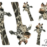 "Chin Up", Giraffe Sticker Sheet