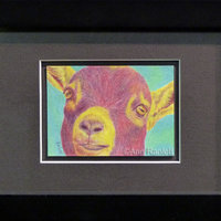 "Hey Kid" - Pygmy Goat, Original ACEO, Color Pencil, Framed