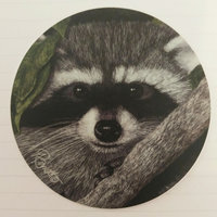 Local Bandit, Raccoon- 3" Round Sticker