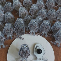 Burrowing Owl - 1.5" Acrylic Pin