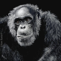 Jacob - Chimpanzee - Key Ring
