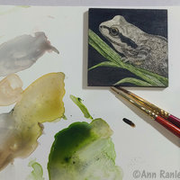 SOLD - Sierran Tree Frog - 2" x 2" Original Mini Scratchboard Drawing