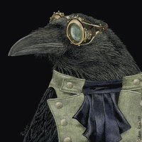 "Steampunk Trickster" - Raven - Print on Metal