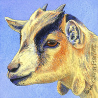 goat art