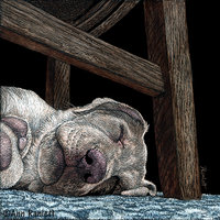 "Any Port for a Nap"- Yellow Lab - Print on Metal