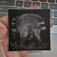 Jimothy the Raccoon - 2.5" Sticker