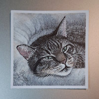 Sleepy Petunia - 2.5" Sticker