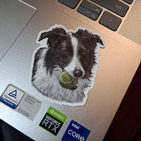 Border Collie with Tennis Ball - 3" Sticker