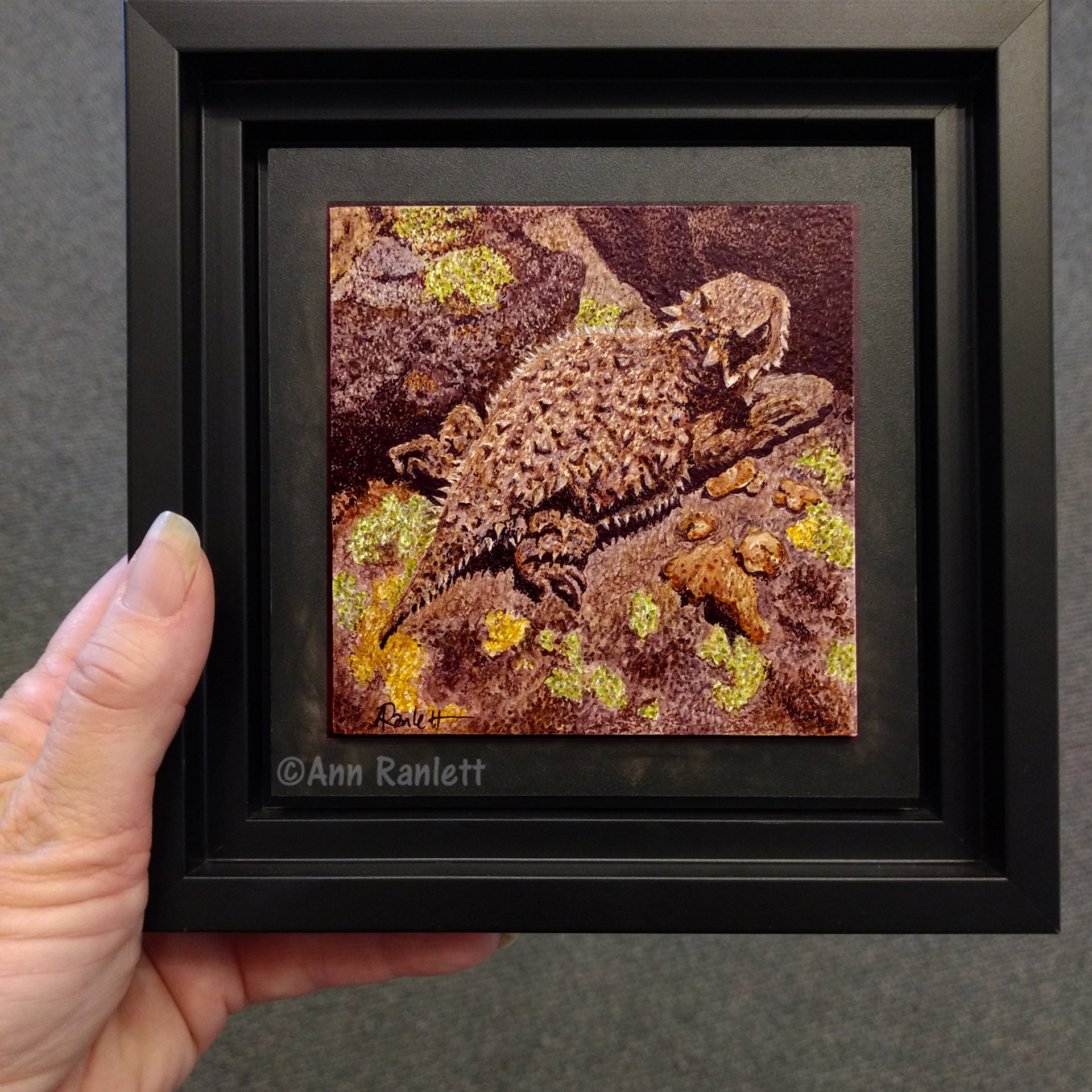 Horned Lizard - Original Mixed Media Drawing, Framed