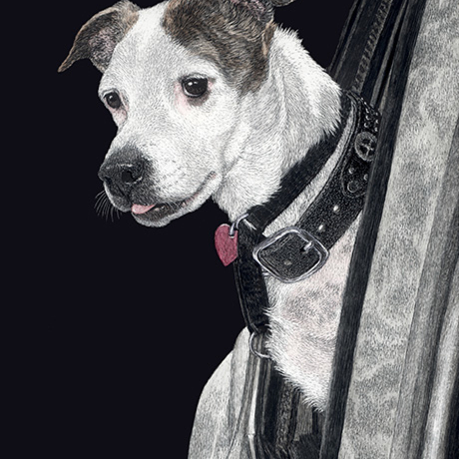 "Let's Go!"- Adventure Dog - Print on Metal