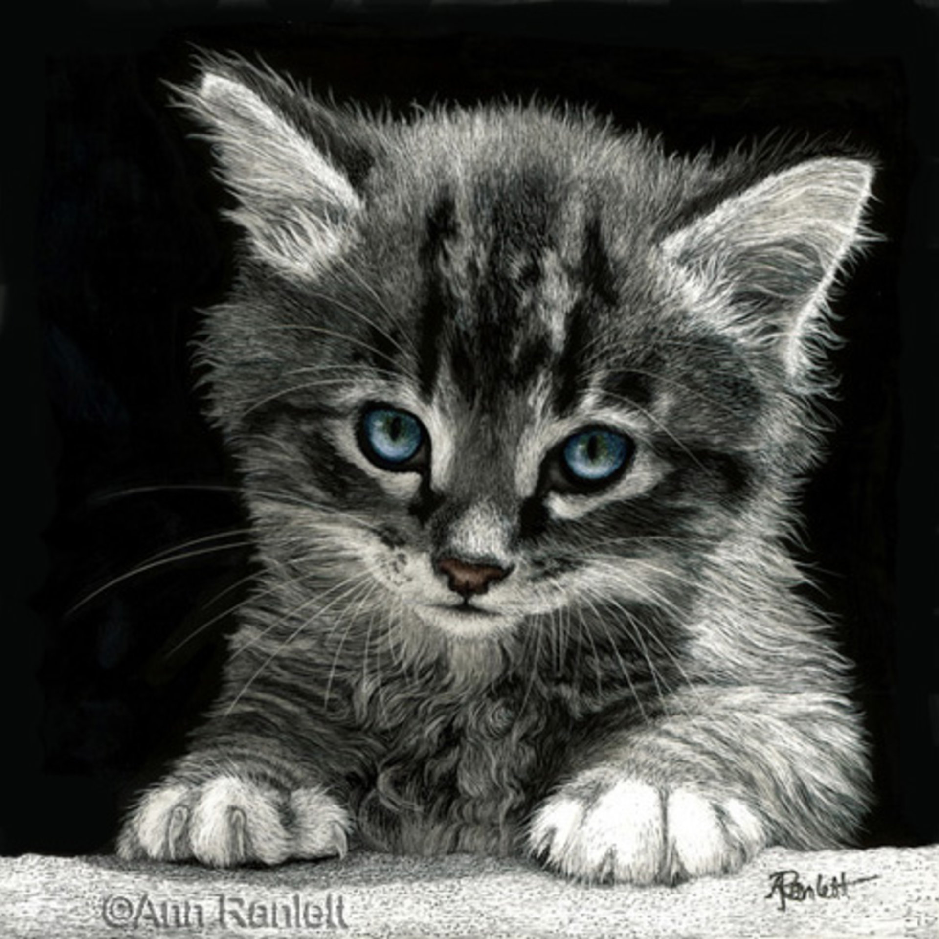 "Bright Future" Tabby Kitten - Print on Metal