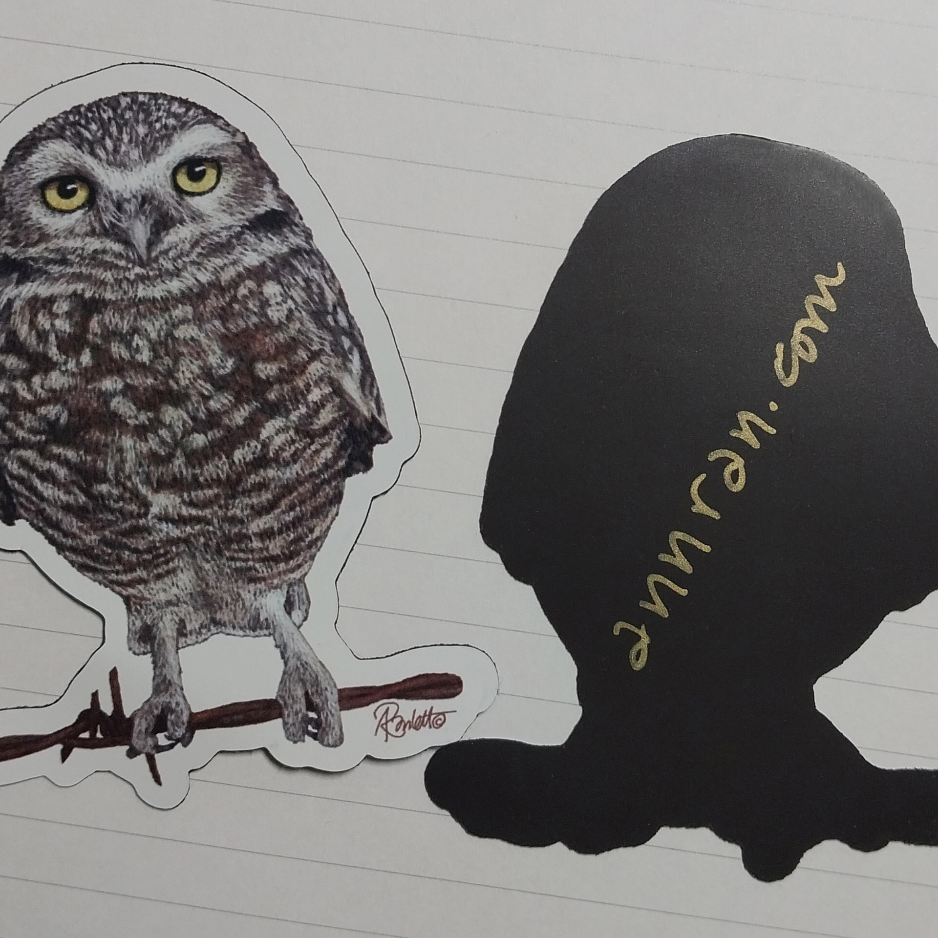 Burrowing Owl - 3" Magnet