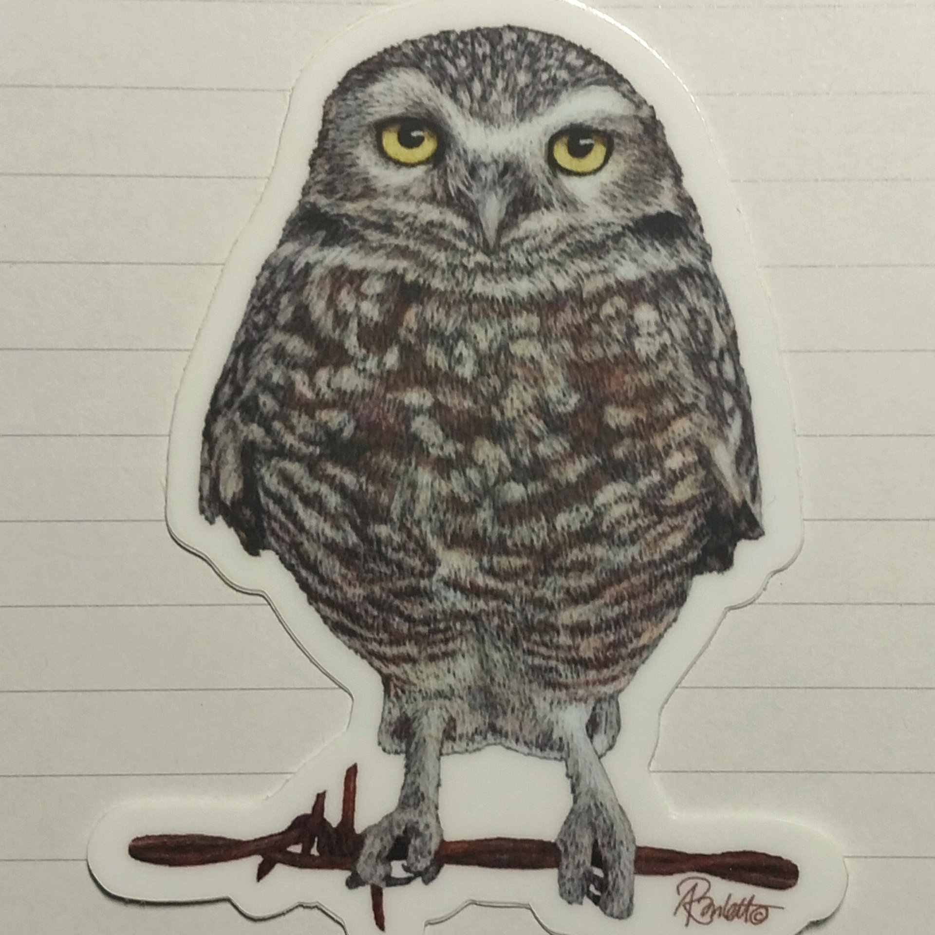 Burrowing Owl - 3" Sticker