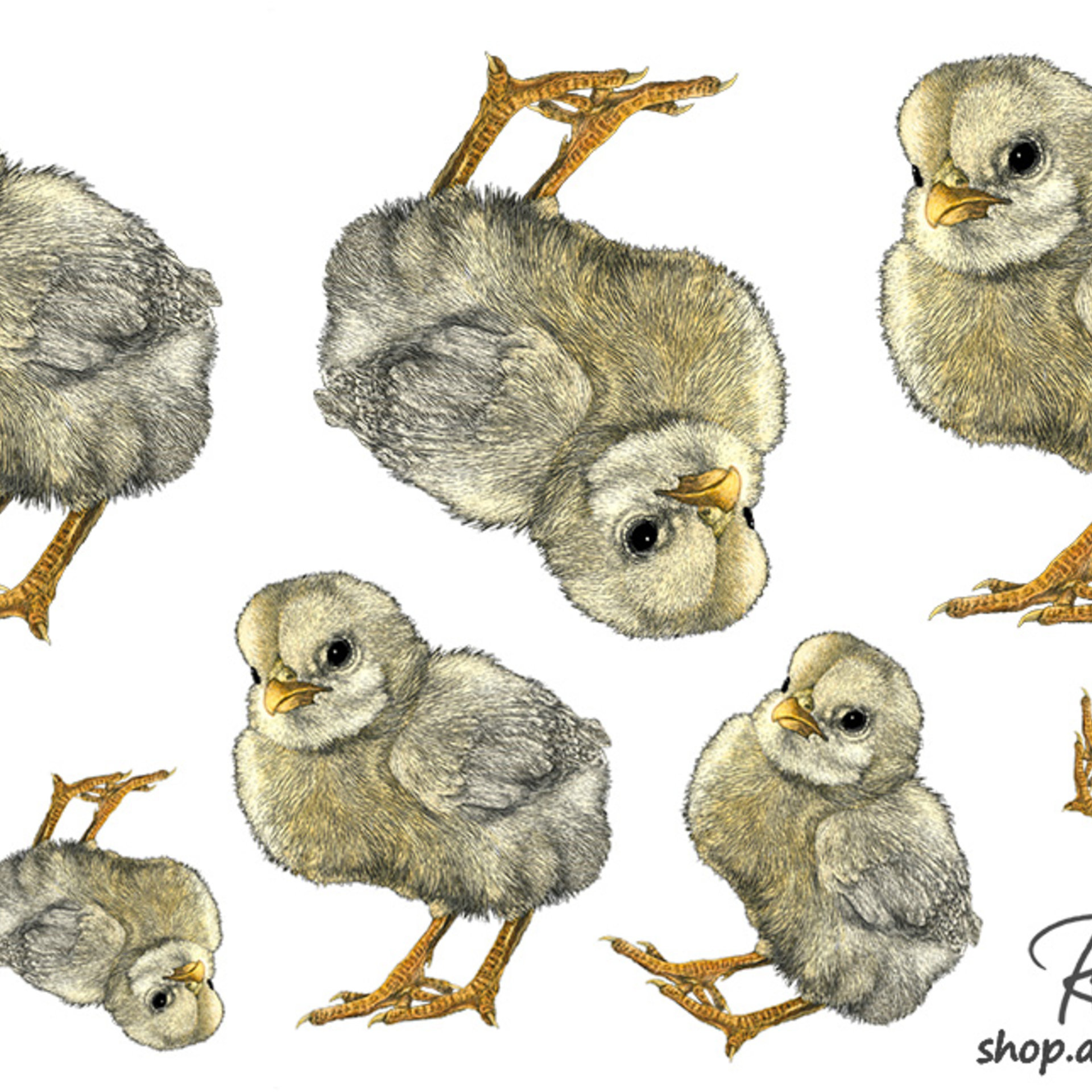 "Tough Chick", Sticker Sheet