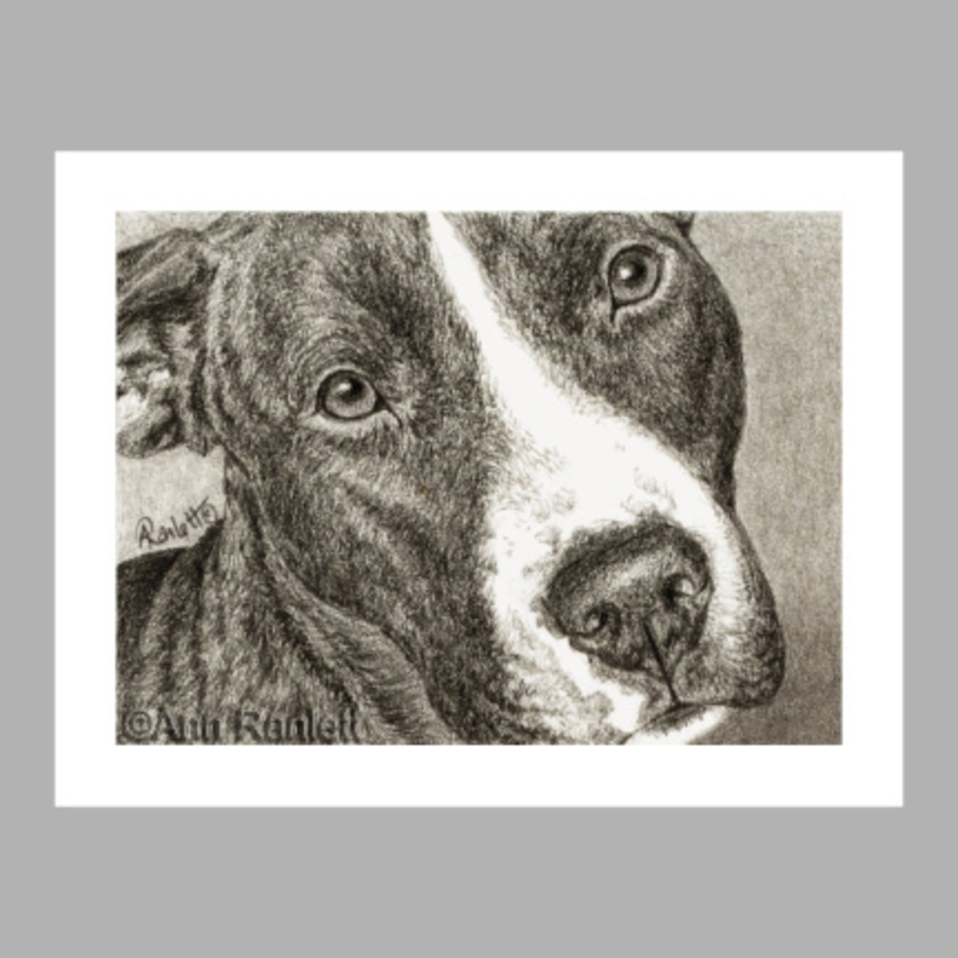 "Devotion" - Pit Bull Dog Note Cards (5) - blank inside, with envelopes