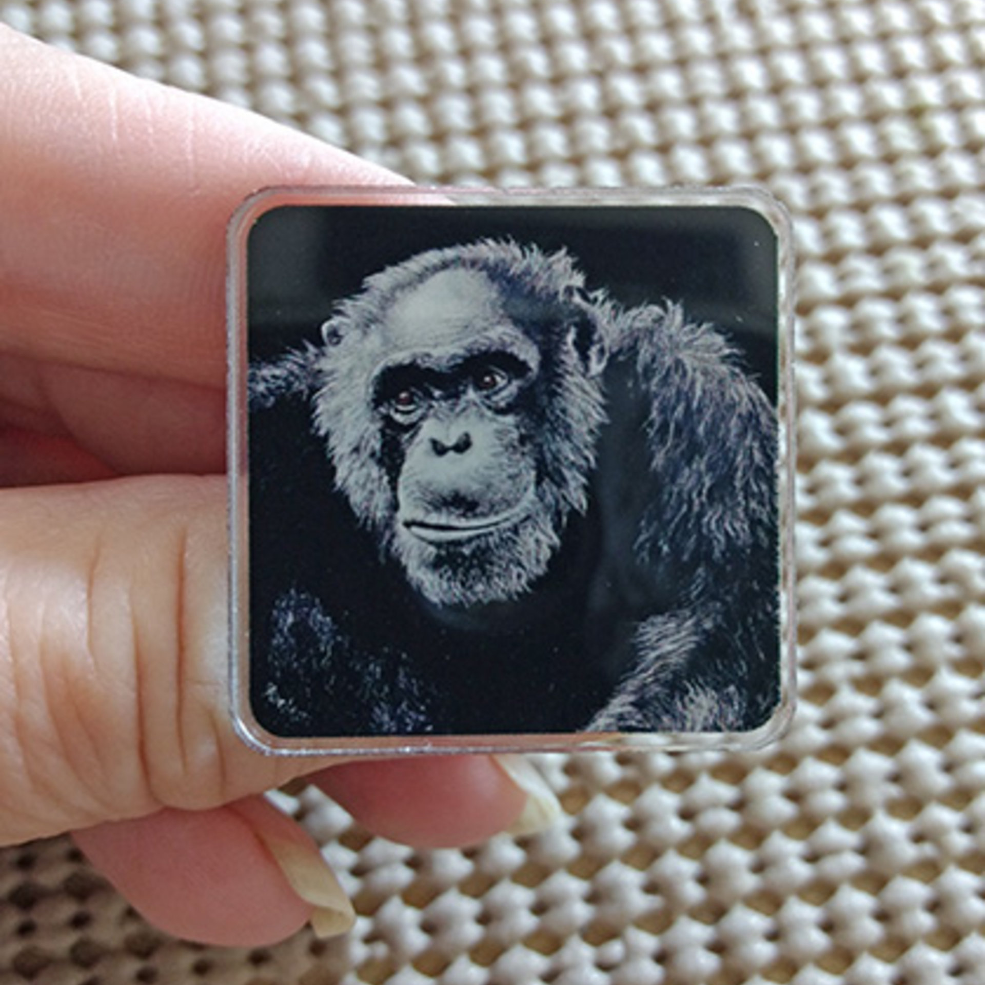 Jacob - Chimpanzee - 1" Square Pin