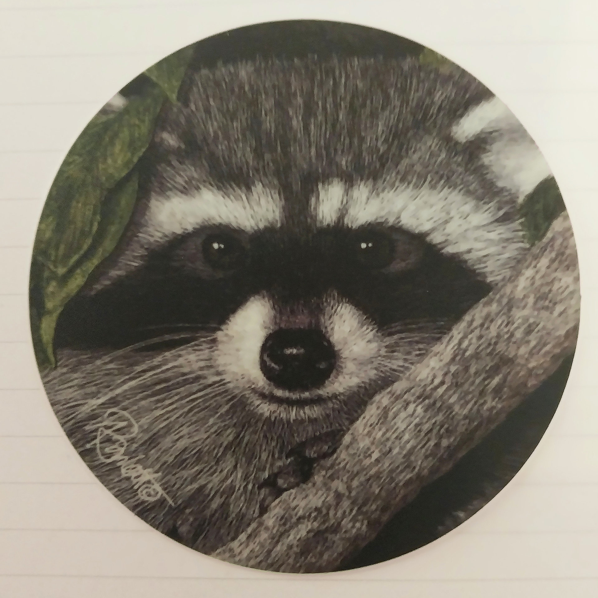 Local Bandit, Raccoon- 3" Round Sticker