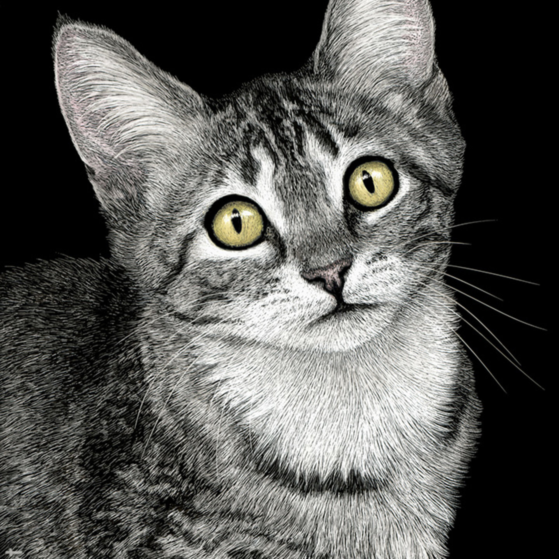 "Lucky Star" Tabby Kitten - Print on Metal