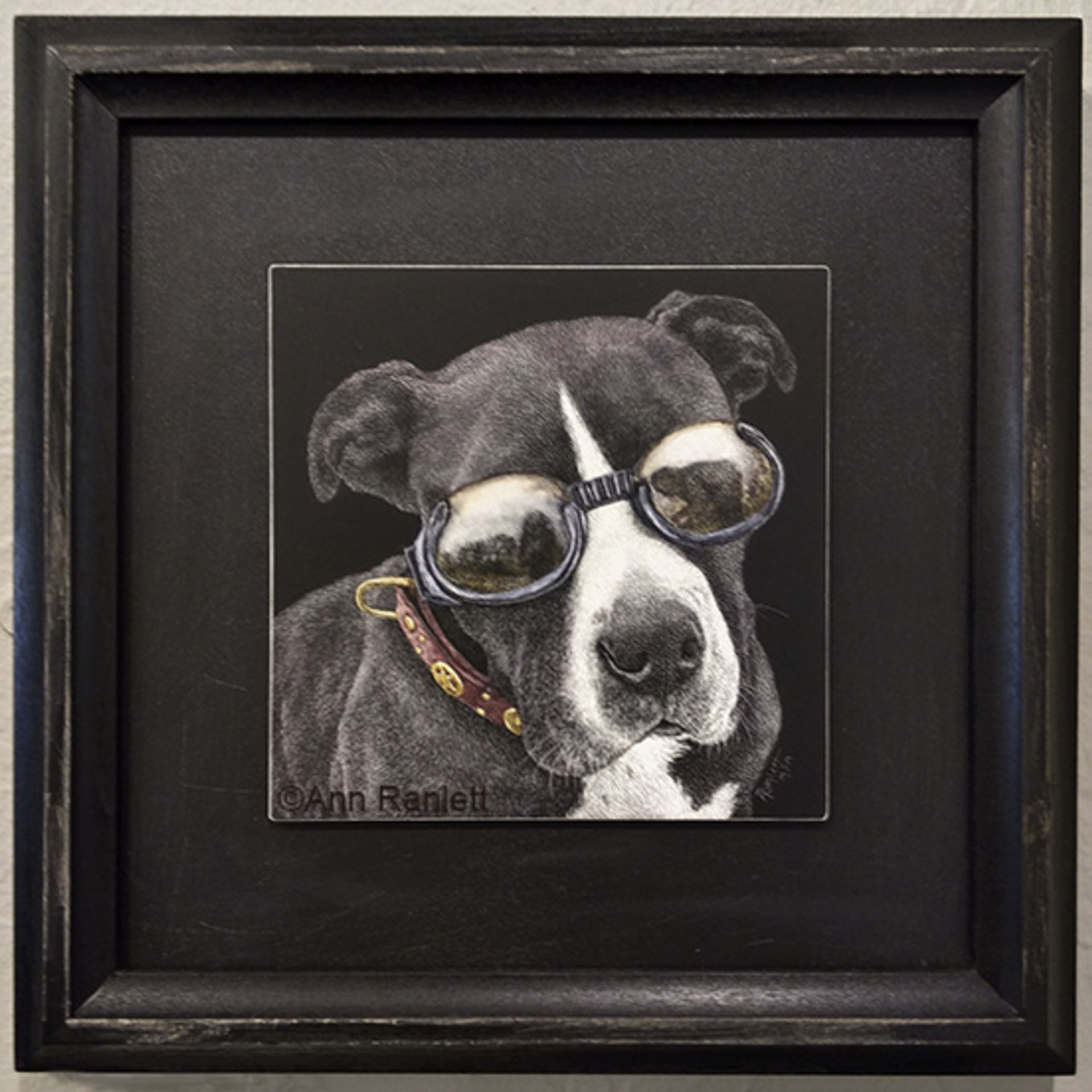 "Style" - Bully Mix Dog, Original Scratchboard Drawing, Framed