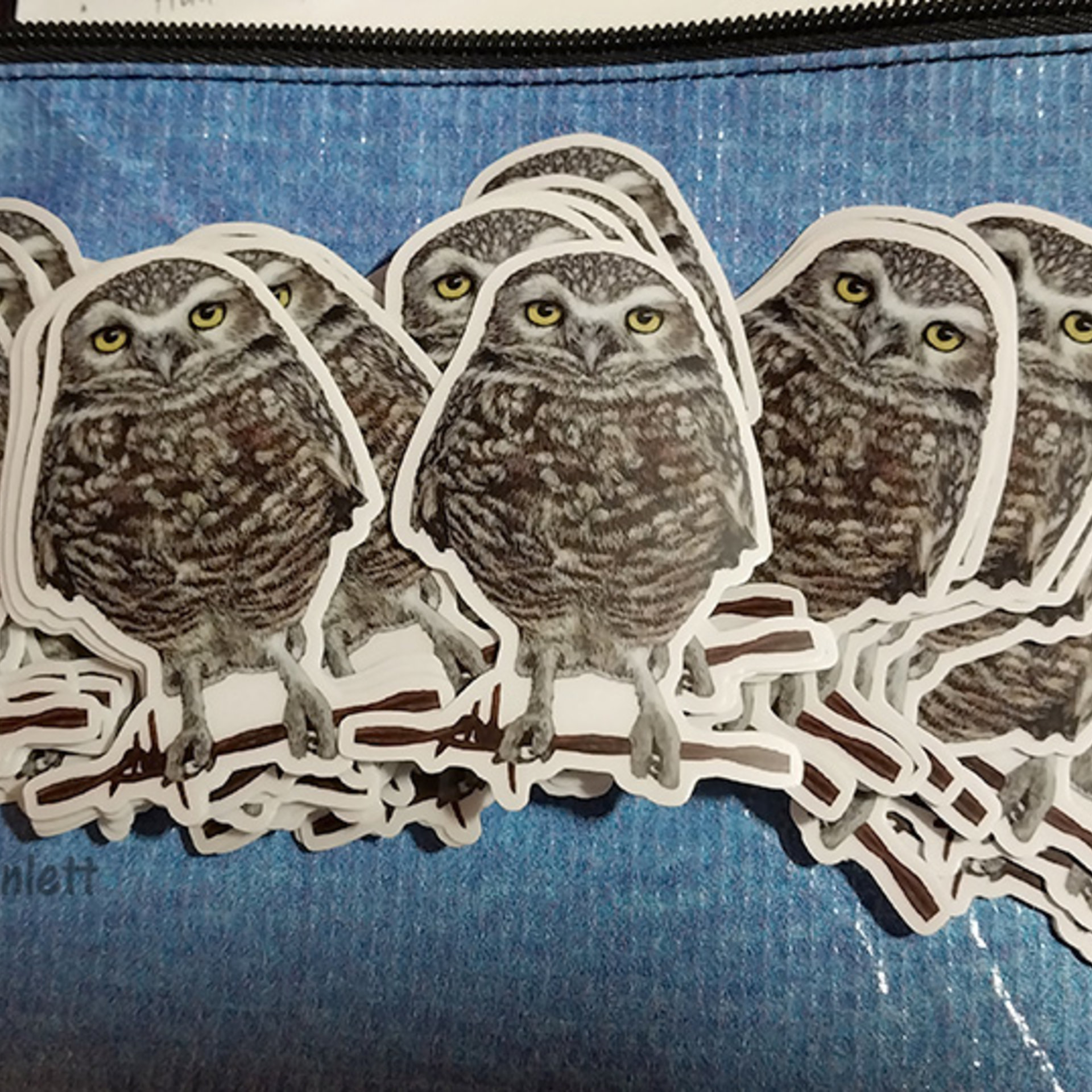 Burrowing Owl - 3" Sticker - Clear Outline