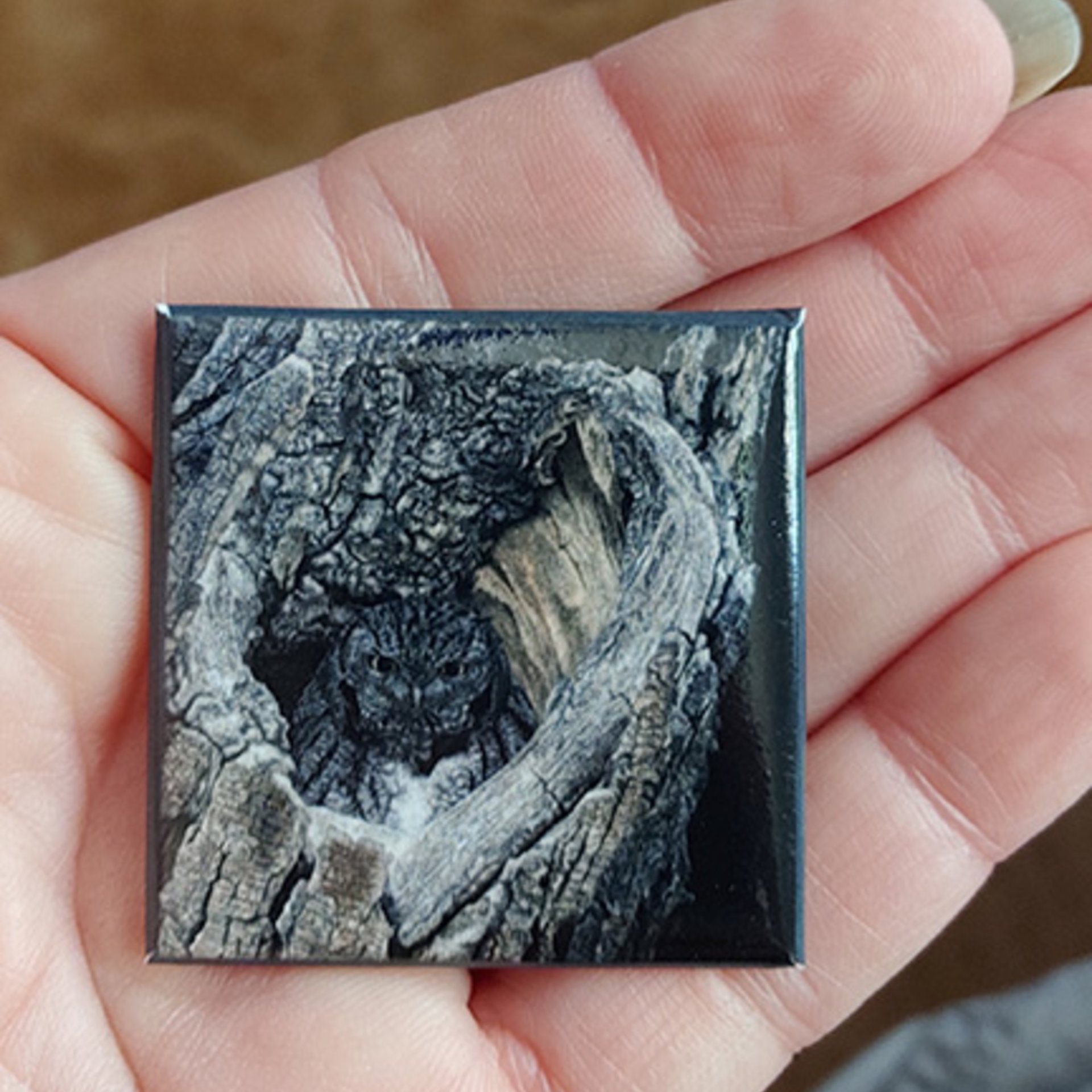 "Heart of San Pedro" - Screech Owl - 1.5" Square Pin