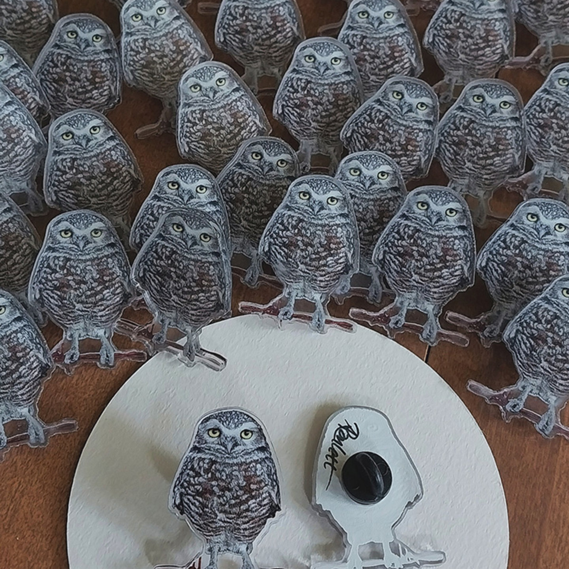 Burrowing Owl - 1.5" Acrylic Pin