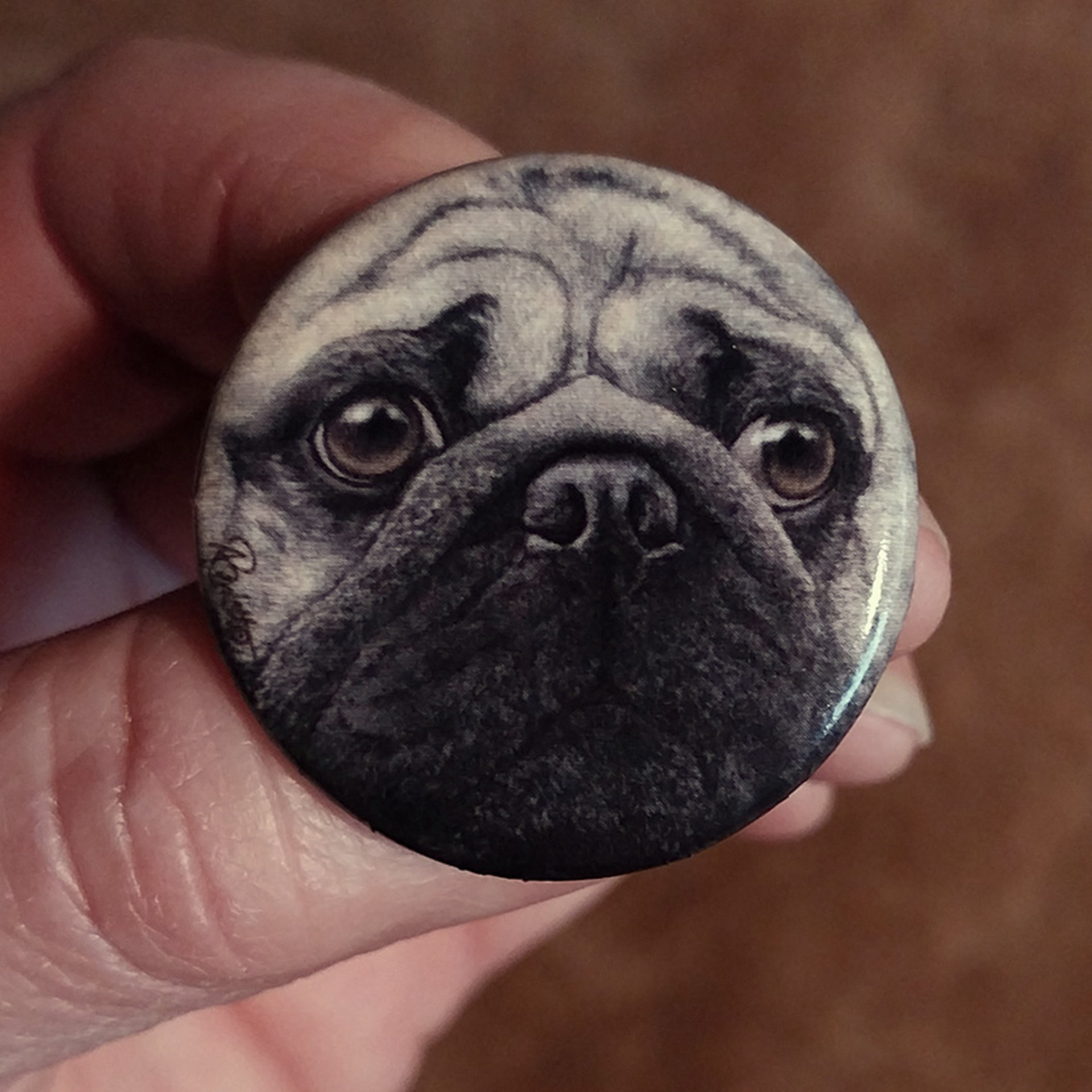 "Pugshot" - Pug Face - 1.25" Button