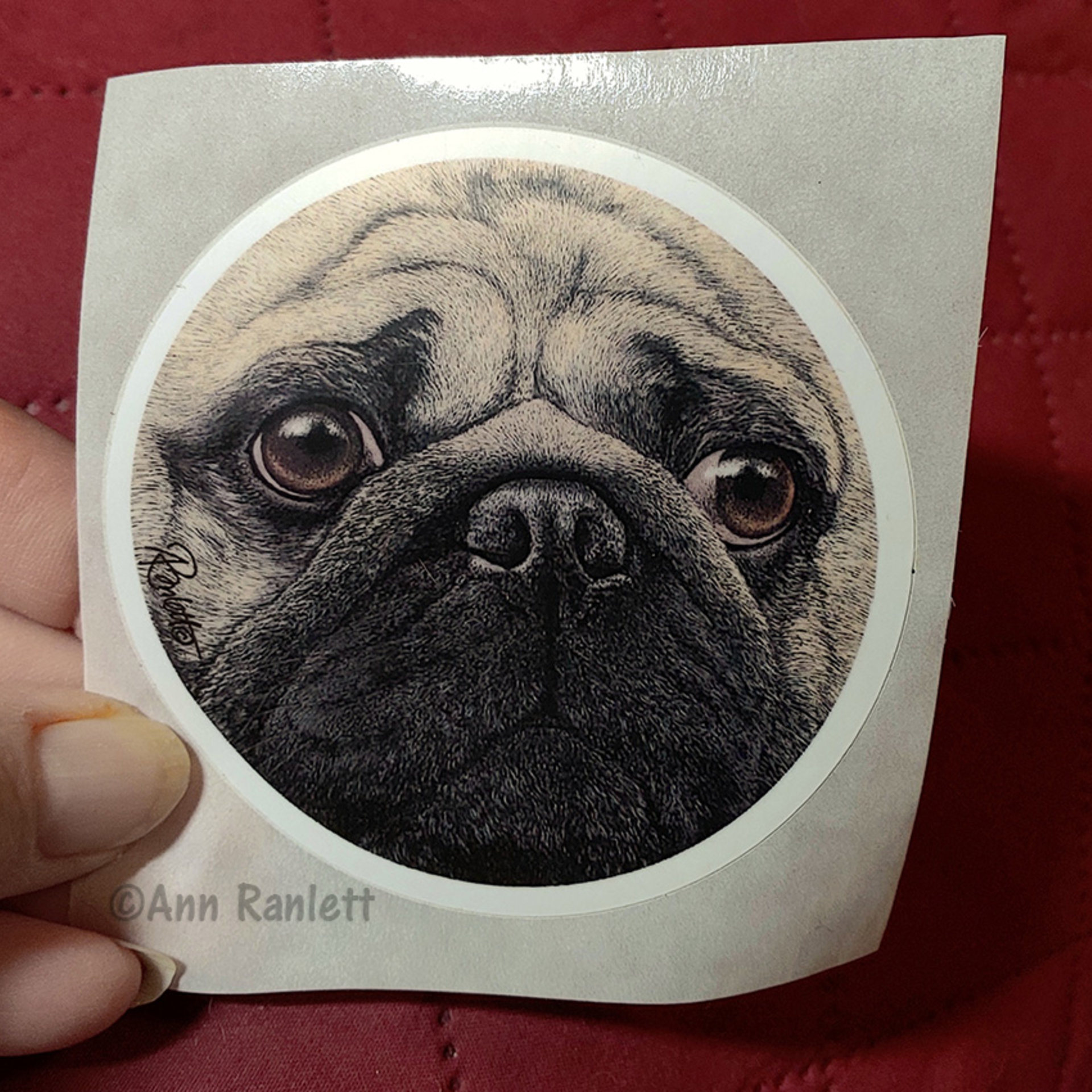 Pug Face - 3" Round Sticker