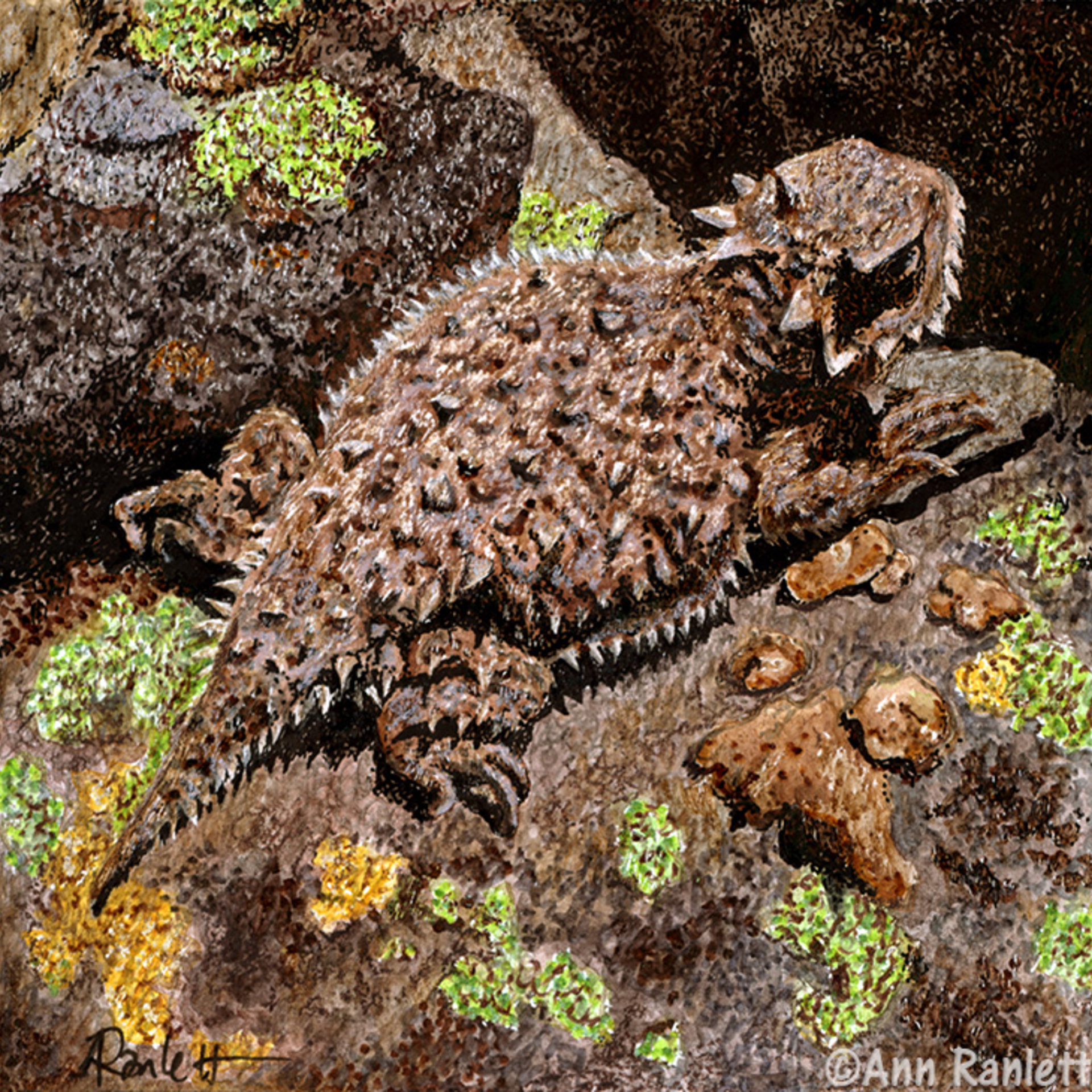 Horned Lizard - Original Mixed Media Drawing, Framed