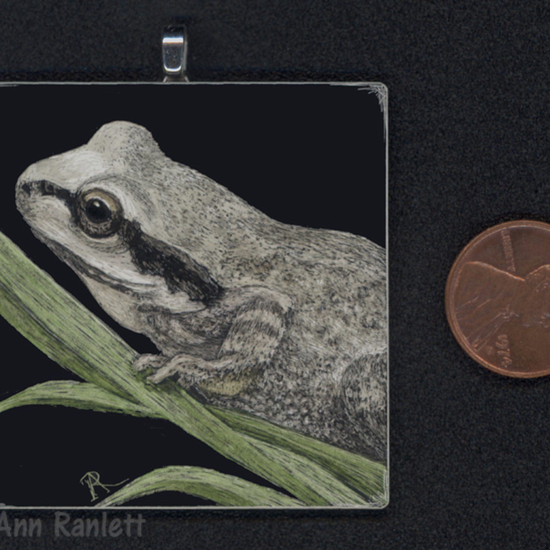 SOLD - Sierran Tree Frog - 2" x 2" Original Mini Scratchboard Drawing