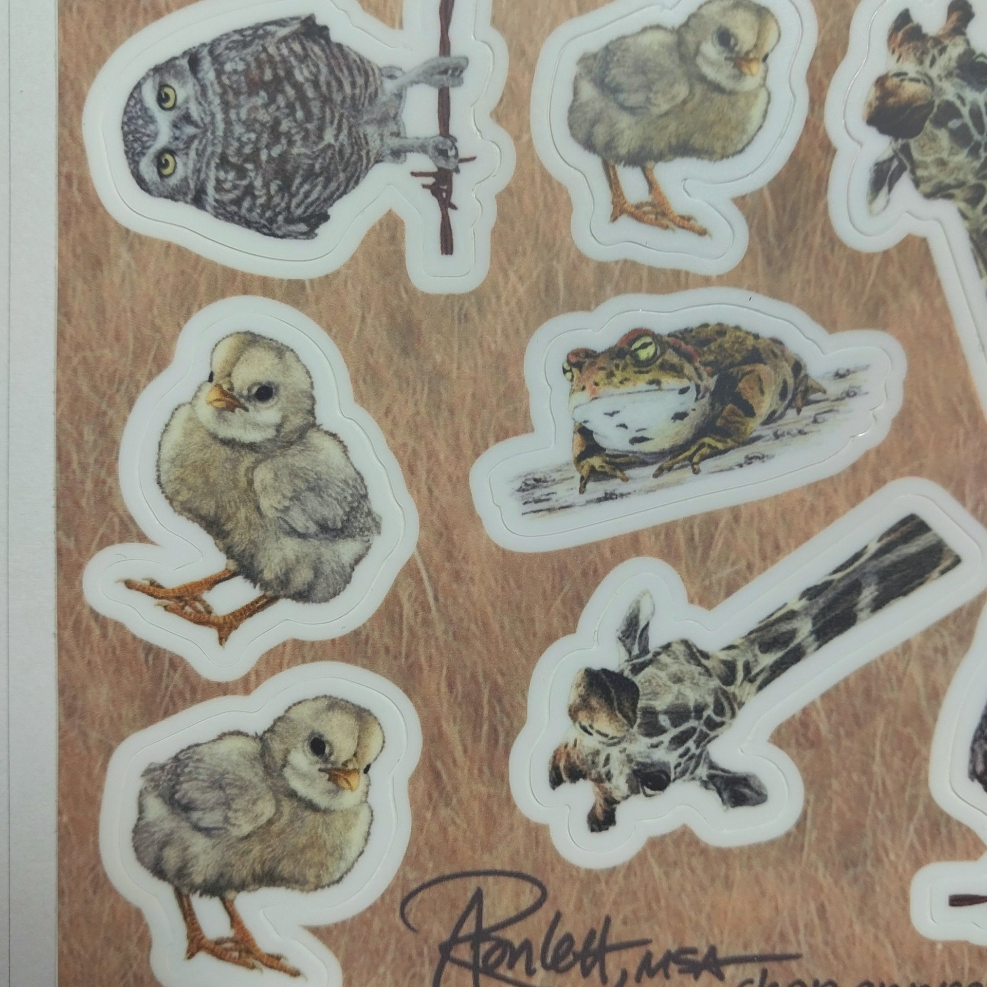 Sticker Sheet Version 1, 4" x 6"