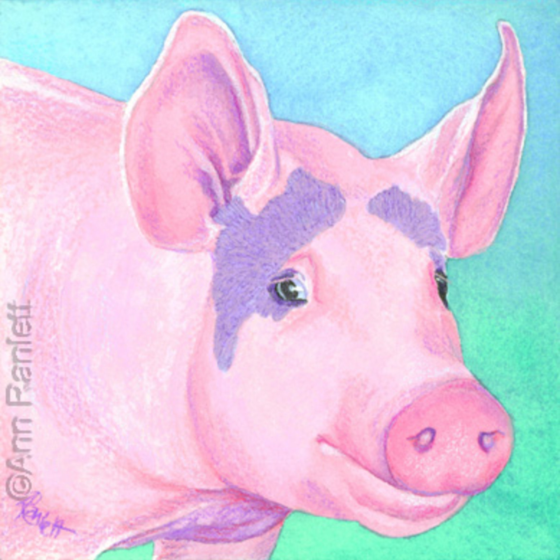 pig art