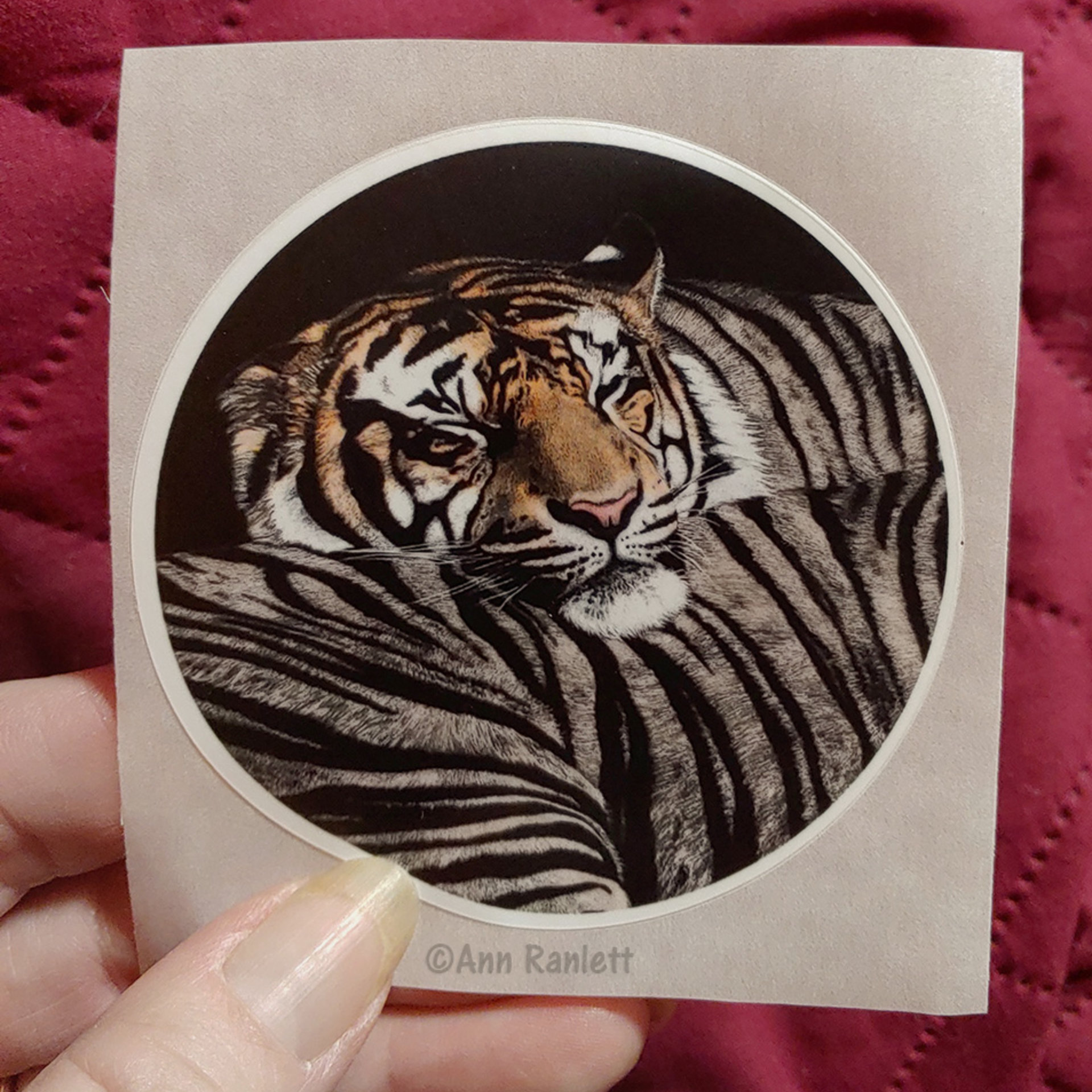 Sumatran Tiger - 3" Round Sticker