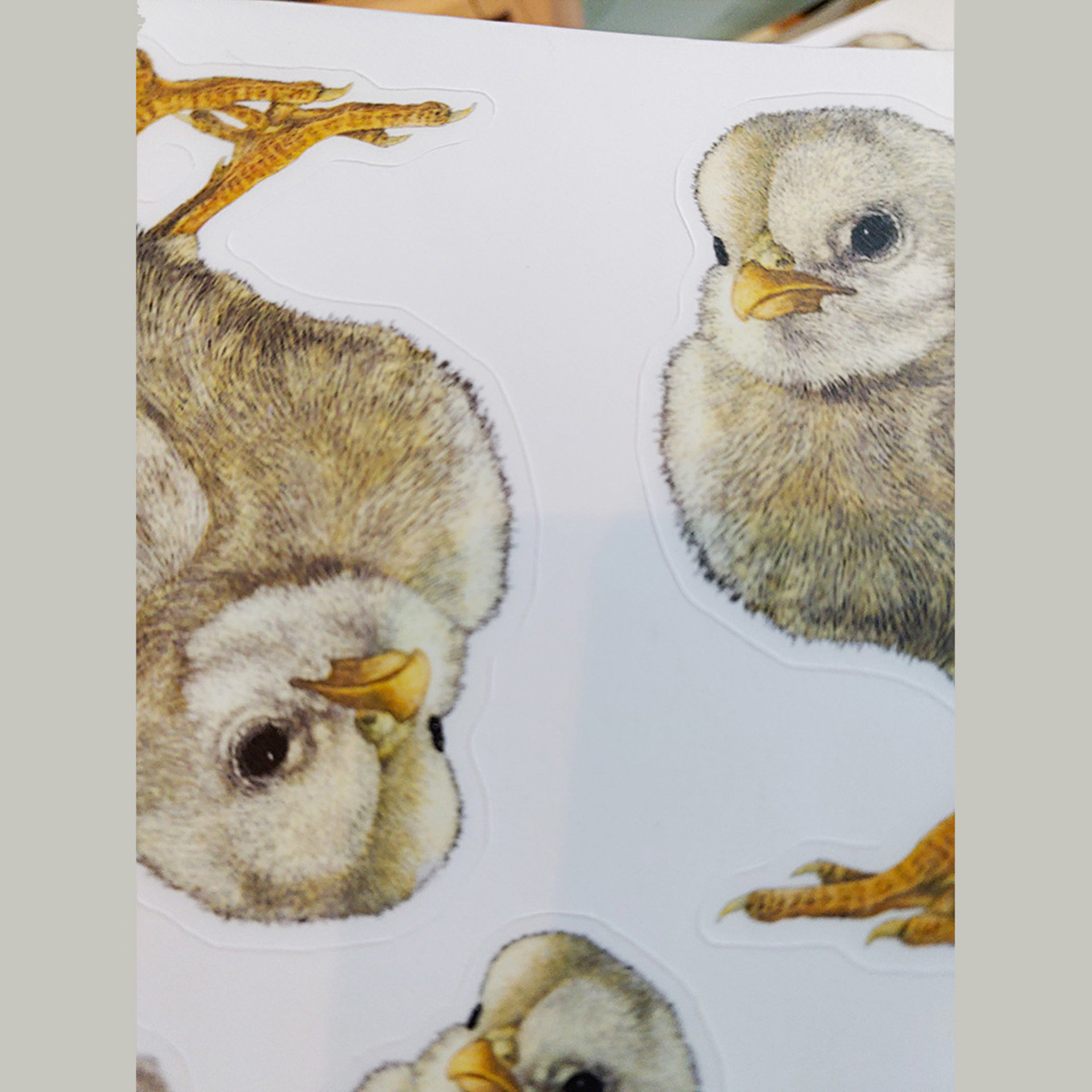 Tough Chick Sticker Sheet