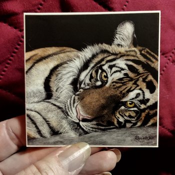 Sumatran Tiger - 3" Square Sticker