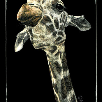"Chin Up", Giraffe Sticker - 3" Tall