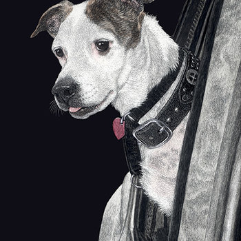 "Let's Go!"- Adventure Dog - Print on Metal
